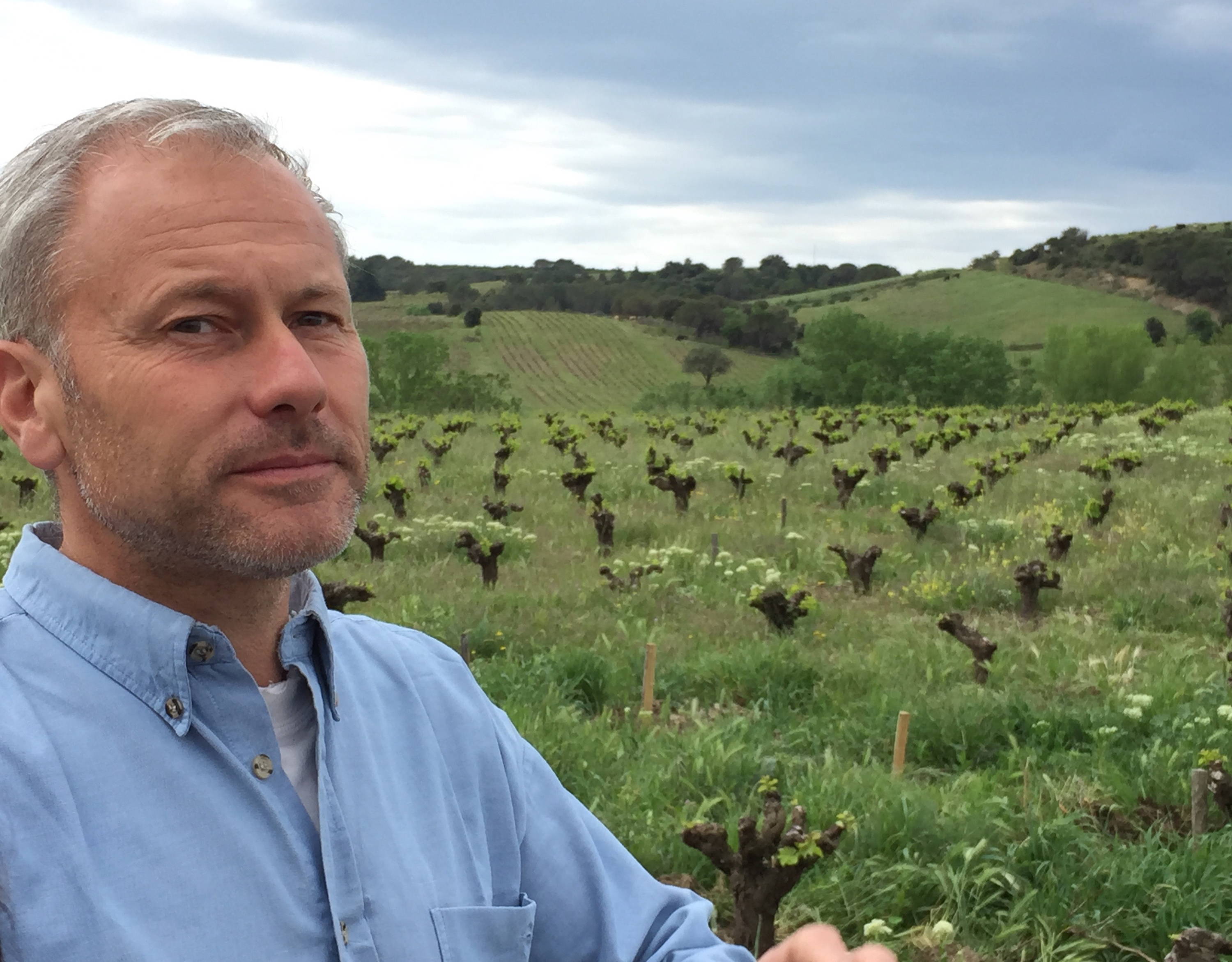 france, vin nature, rawwine, organic wine, vin bio, vin sans intrants, bistro brute, vin rouge, vin blanc, rouge, blanc, nature, vin propre, vigneron, vigneron indépendant, domaine bio, biodynamie, vigneron nature , didier barral, léon barral, faugères, tradition, blanc