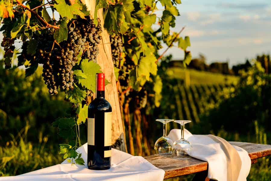 Delightfull and Refreshing Chianti Wine and Food Journey - photo 6
