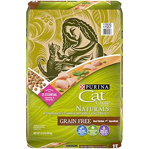 Purina Beyond Dry Cat Food vs Purina Cat Chow Naturals with Chicken and