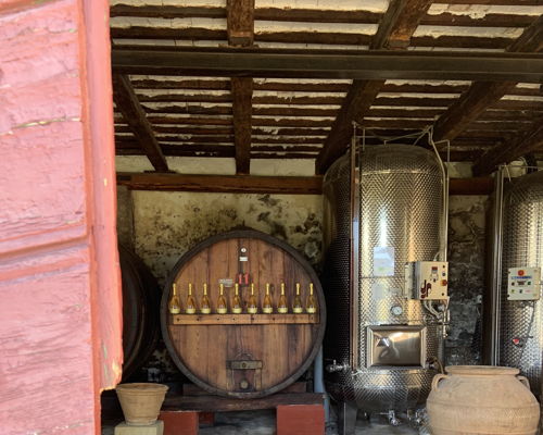 Food & Wine Tours Rimini: Winery and dairy tour with pasta and piadina cooking class