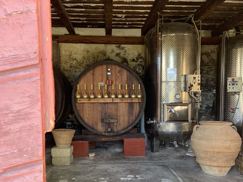 Kulinarische Touren Rimini: Tour durch Weinkeller und Käserei mit Kurs zum Thema Pasta und Piadina