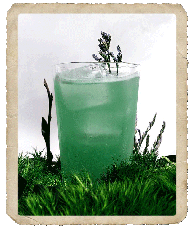 Green colored cocktail glass decorated with grass.