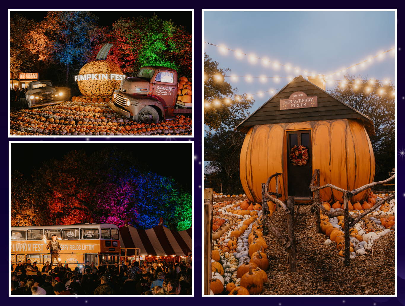 Experience Pumpkin Nights at Strawberry Fields, Lifton – glowing twilight pumpkin patch, live music, entertainment & fire show. A magical autumn evening in Devon!