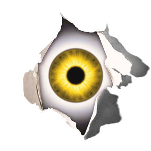 Andrew Shevchenko Avatar