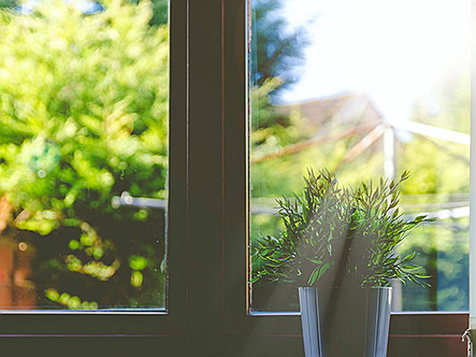  Worms
- Fenstersanierung – mehr Wohnkomfort im Altbau
