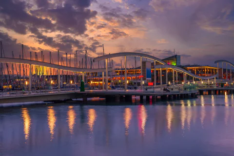 Shared Group Sunset Cruise with Light Snacks and Open Bar