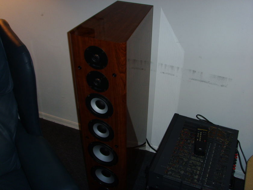 Axiom Audio M80 Tower Speakers (Custom Cherry)