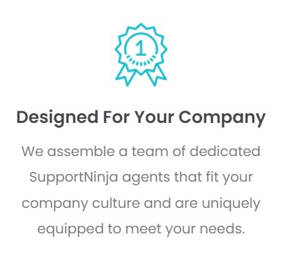 SupportNinja product / service