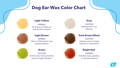 Dog earwax color chart with pictures