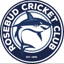 Rosebud cricket club logo
