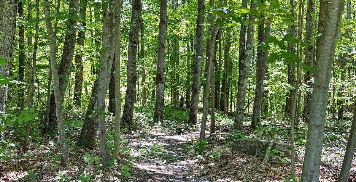 Slideshow image