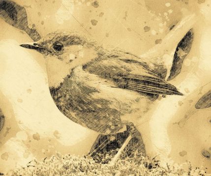 Vintage Sketch Фотошоп экшен - винтажные наброски на ваших фото