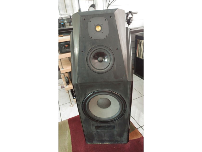 Wilson Audio Witt mkI speakers, just $2000 collected, perfect order!
