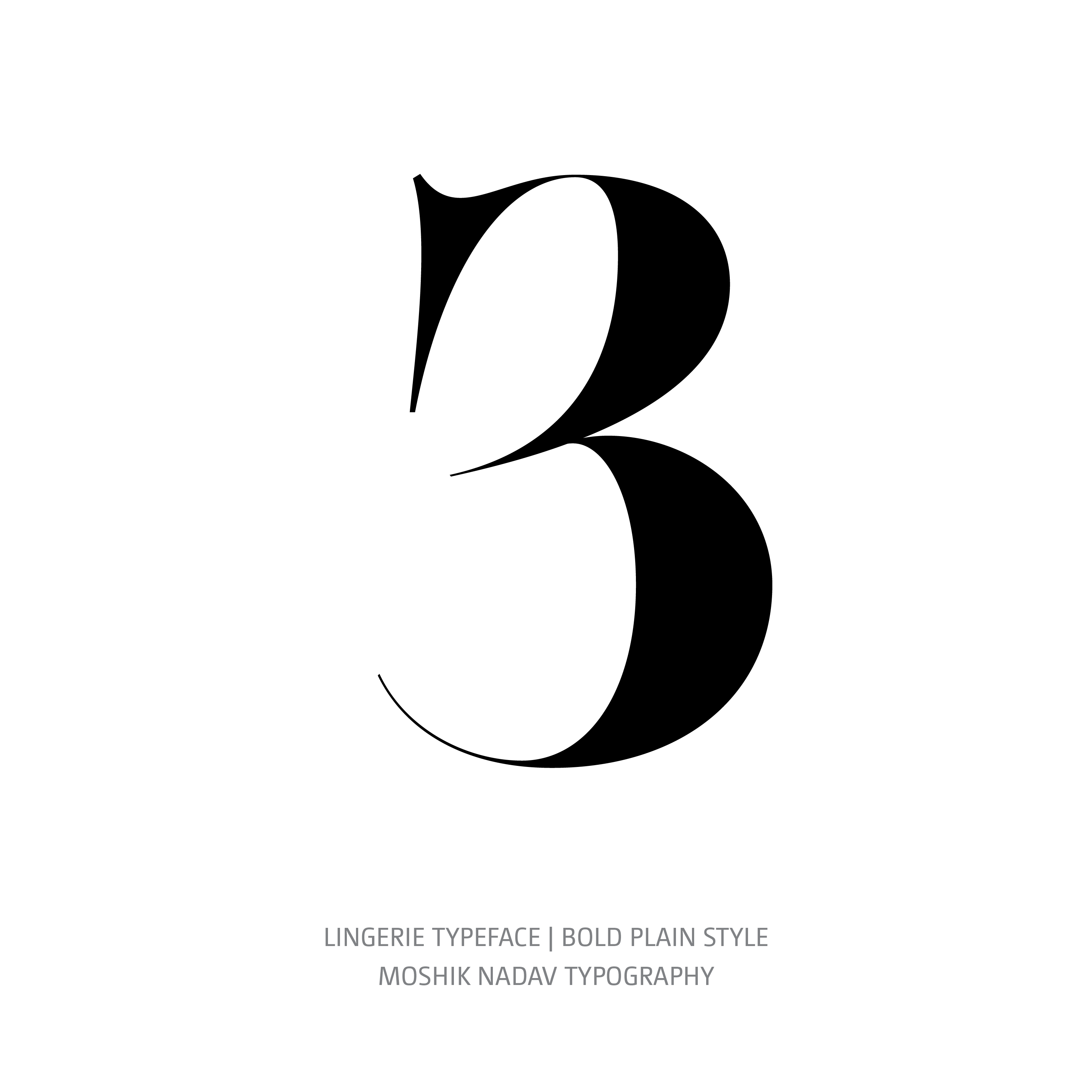 Lingerie Typeface Bold Plain 3