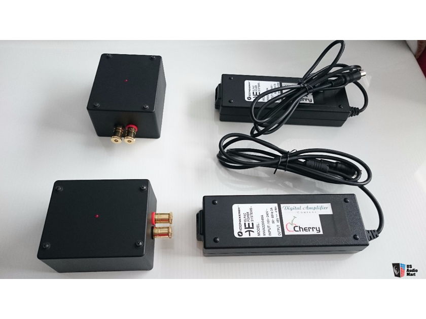 Digital Amplifier Company In-line Maraschino Monoblocks  With 48V Power Supplies.
