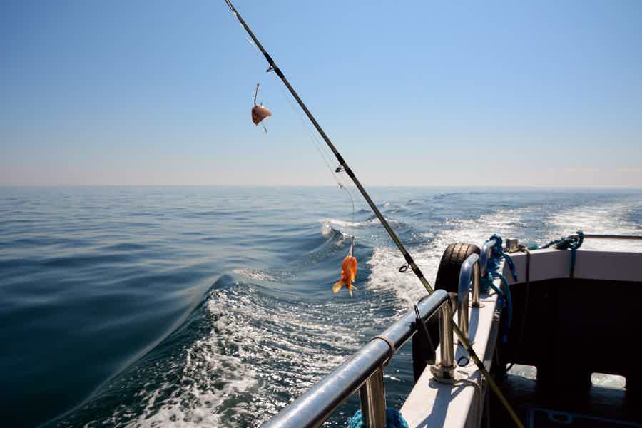 4-Hour Private Deep Sea Fishing Trip - photo 5