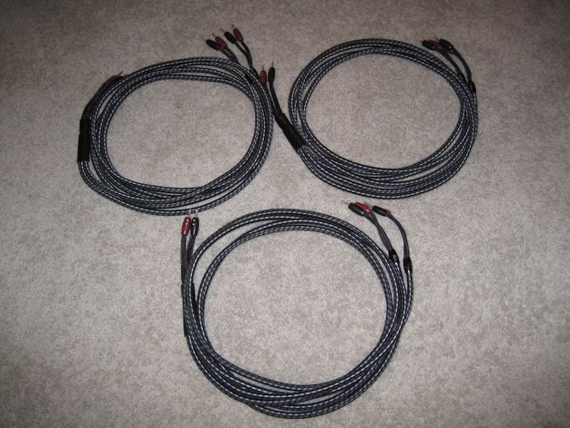 Audioquest Type 8, 10' Speaker cable pair Double Bi-Wir...