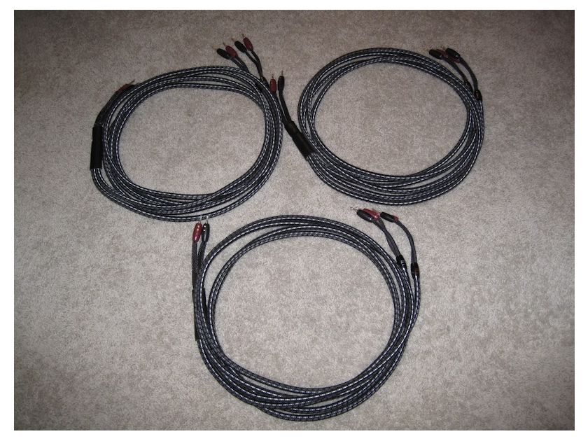Audioquest Type 8, 10' Speaker cable pair Double Bi-Wired, Banana both ends - SF Bay Area