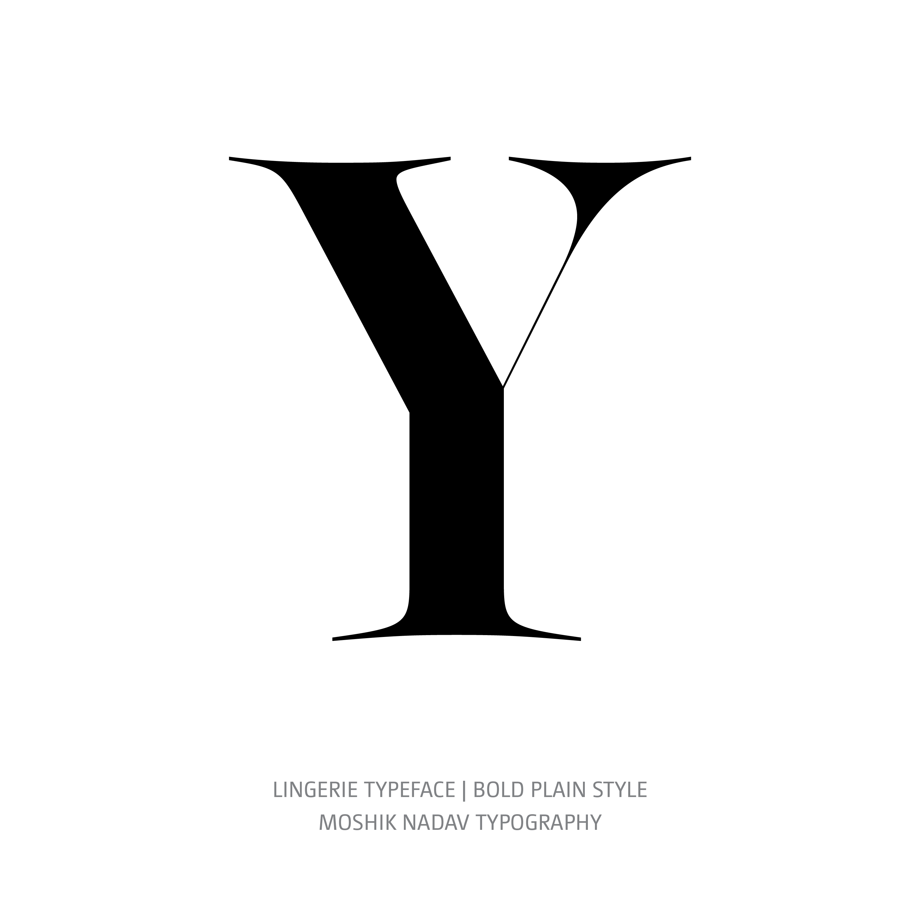 Lingerie Typeface Bold Plain Y