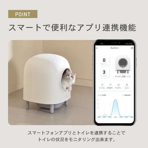 ポイント３