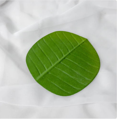 Banana Leaf Coaster (6 Pack) - Realistic Artificial Flowers and Greenery - Image 2