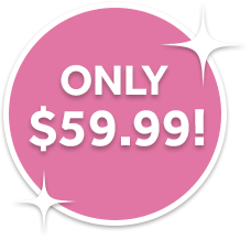 $59.99 Price Tag For Enchanted Fairy Village