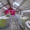 Cuves de fermentation Washbacks de la distillerie GlenWyvis dans le nord-ouest des Highlands d'Ecosse