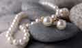 Shop cultured pearl jewellery - Pobjoy Diamonds
