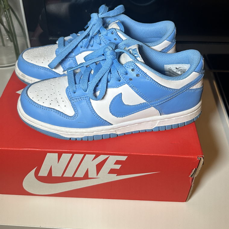 Nike Dunk blue/white