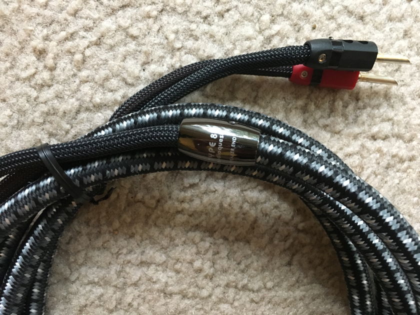 AudioQuest Type 8 Speaker Cable 8 ft
