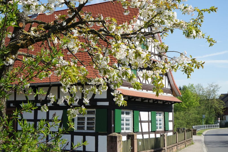 Impressionen Hanauerland
