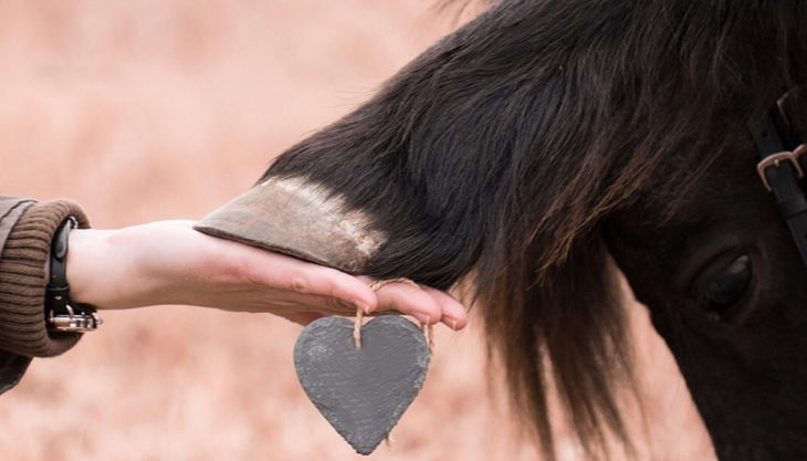 iris brosen pferdkopf hufe und herz