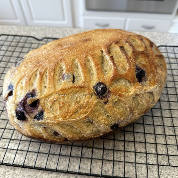 Coastal Rise Sourdough — photo from hotplate.com
