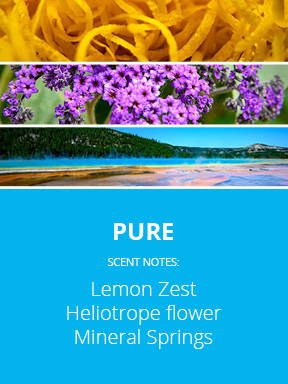 Pure Fragrance description