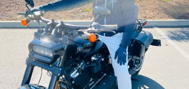 2018 HARLEY-DAVIDSON FXFBS FAT BOB 114 ABS motorcycle for rent near San Jose, CA