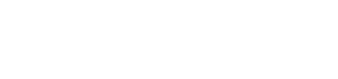 KARINA BORNACELLI Logo