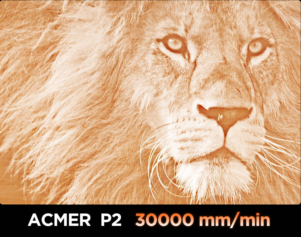 ACMER P2 10W Laser Engraving Cutter Machine-30000