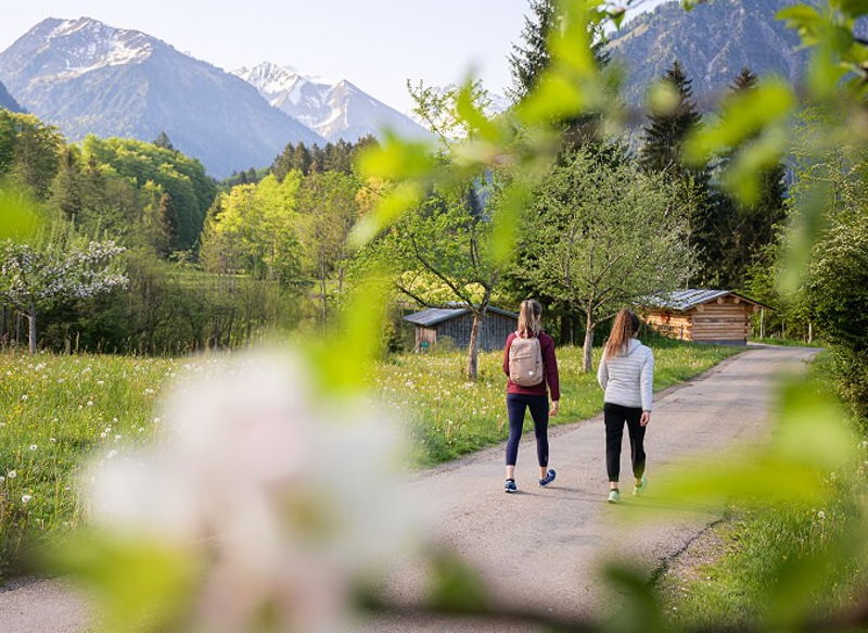 Wandern rund um Oberstdorf und in den Allgäuer Alpen.