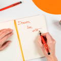 Pilot Custom Heritage