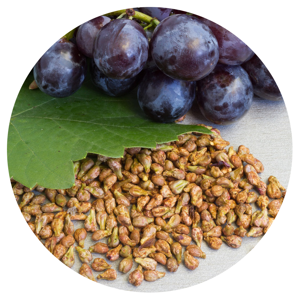 Grape seed included in the best multivitamins for men whole food blend