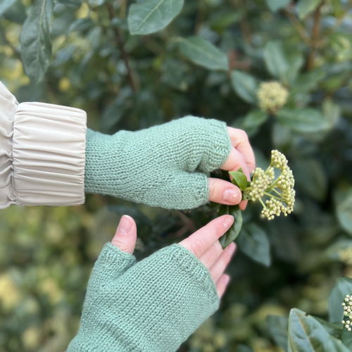 Novice Gloves