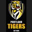 Portland Tigers Cricket Club logo