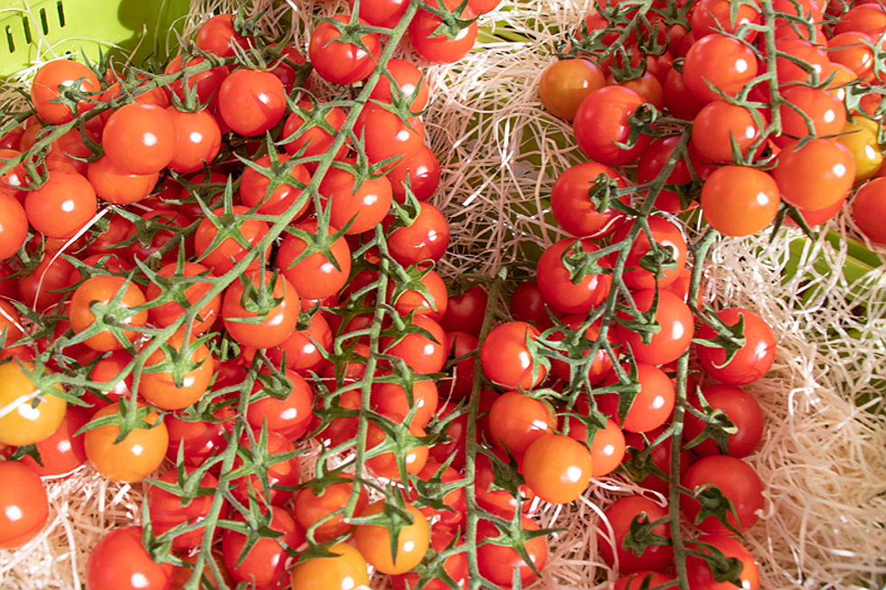  Pollensa
- Tomatoes
