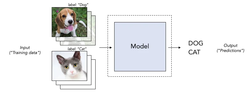 A picture of an example of how machine learning works by segregating dogs vs cats