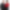 My Profile Picture