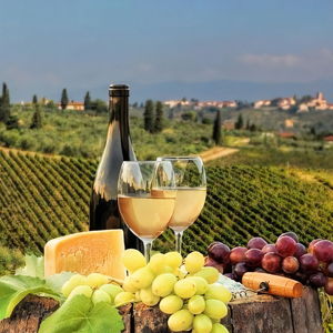 Tuscany Wine Tasting