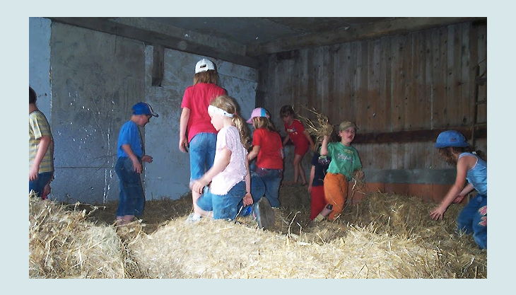 Lernen Auf Dem Bauernhof Halfeshof Bauernhof Mettmann Neandertal