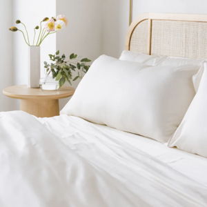 Cozy Earth Sheet Set