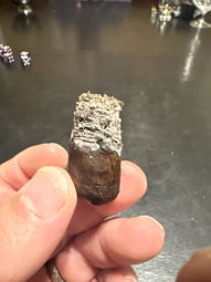 Cigar Session Photo