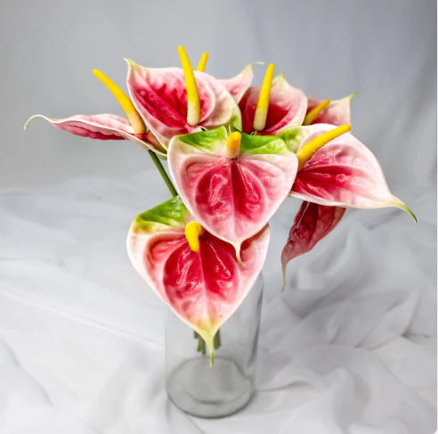Pink/Green Small Anthurium - Realistic Artificial Flowers (Pack of 12 Stems) - Image 4